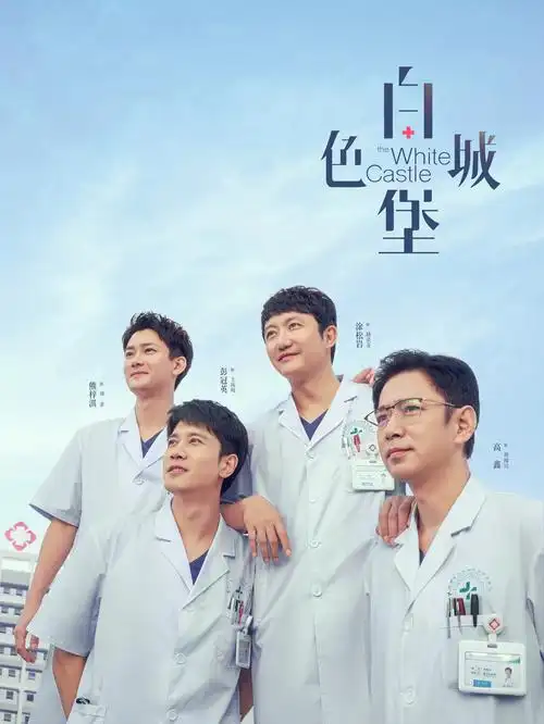 第九个证人 烧脑电视剧在线观看